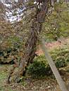 Promenad 2003-11-02 023.jpg